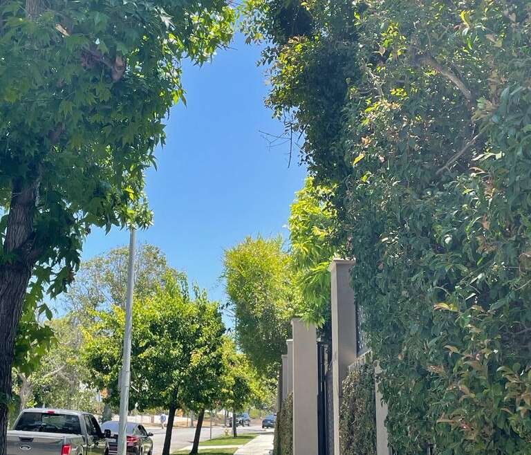 Secure Homes: Professional Home Surveillance Camera Installation Services in Los Angeles